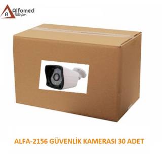 ALFAMED 2MP 1080P IP Dome Güvenlik Kamerası AL-1126
